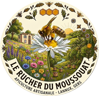 logo michel 5 petit format